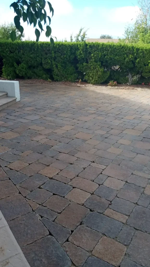 Paver Restoration Before 1_result